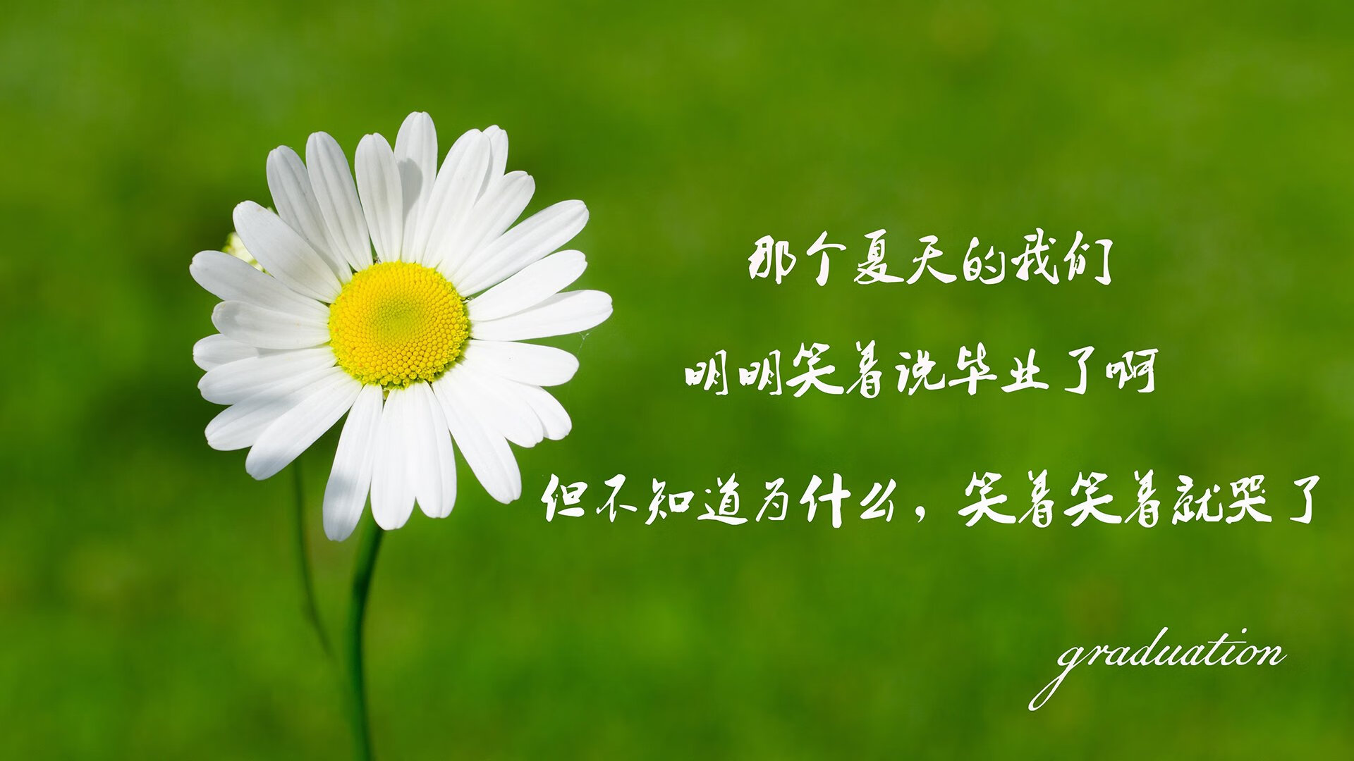 特色夜空露营登山运动，星光点点中的极限挑战，星空露营的唯美句子