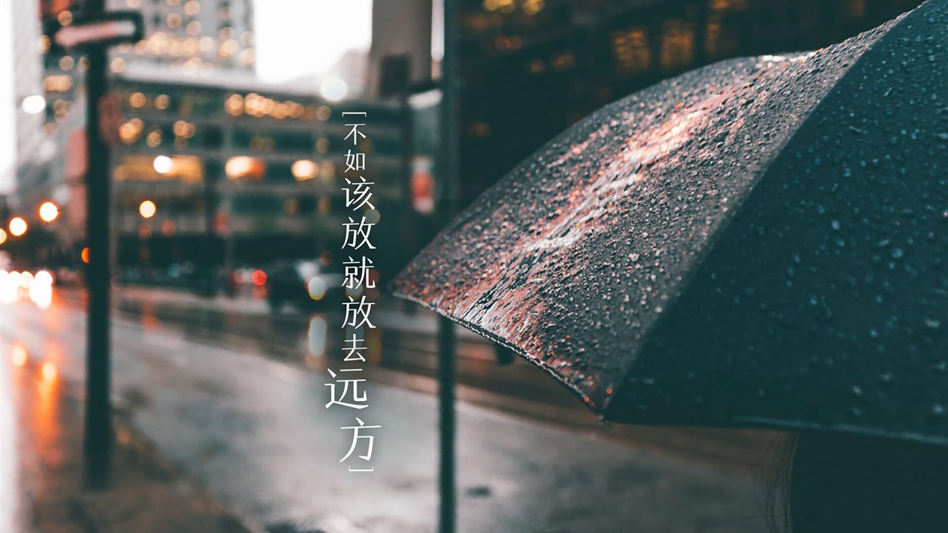 瑞士骑手马丁·福克斯在巴黎奥运会后成为马术协会主席，推动马术运动发展。