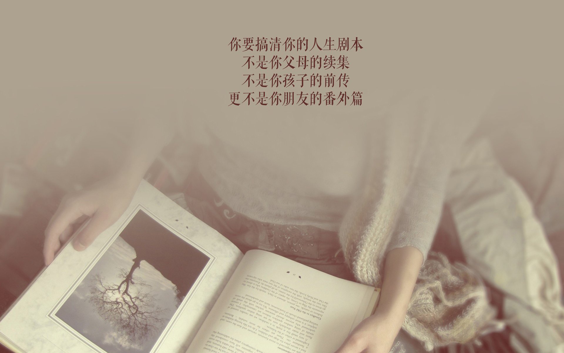 森林狼状态回升唐斯统治禁区，森林狼的唐斯去哪了