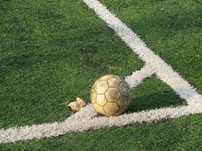 中国足球角球效果统计评估,足球角球数据统计网站