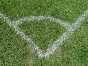 中国足球角球效果统计评估,足球角球数据统计网站