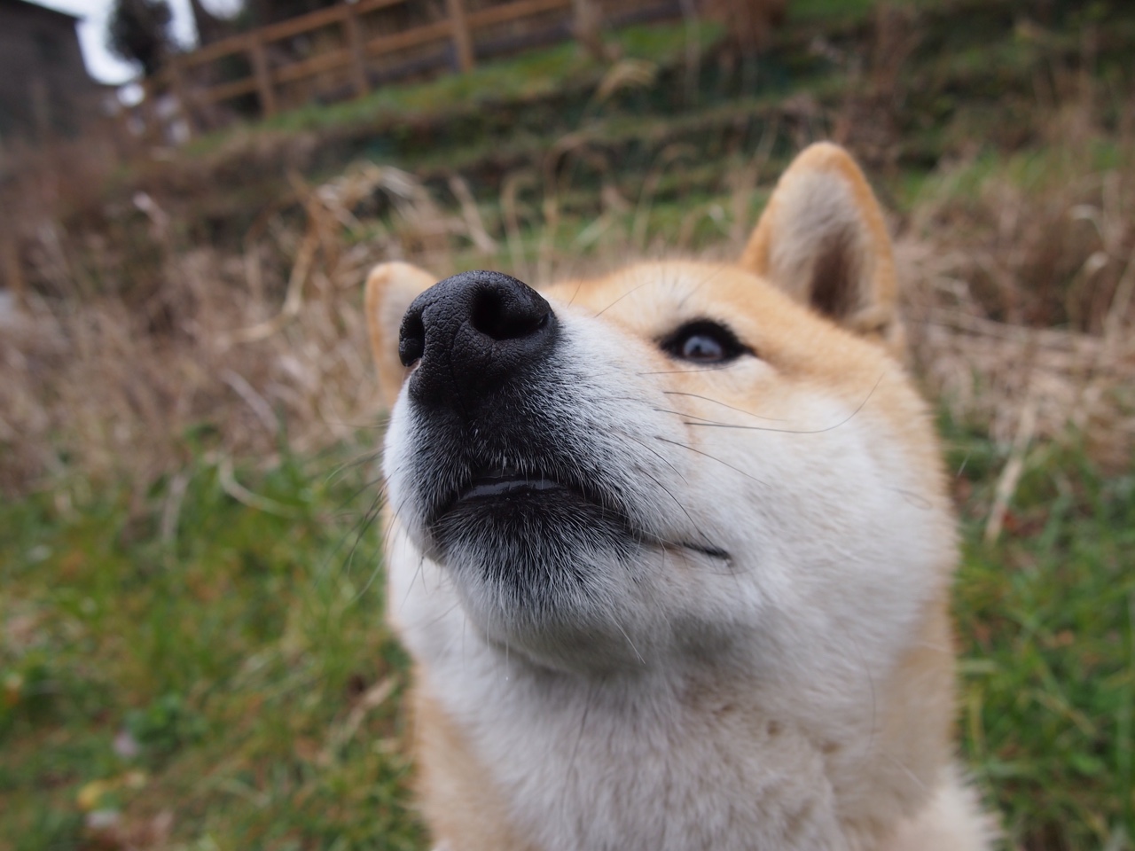 卢卡·乌兰多蝶泳展现大将风范