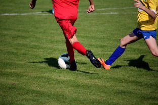 国际足球联合会宣布新一届国家队排名,排名持续变化,国际足联球队排名表