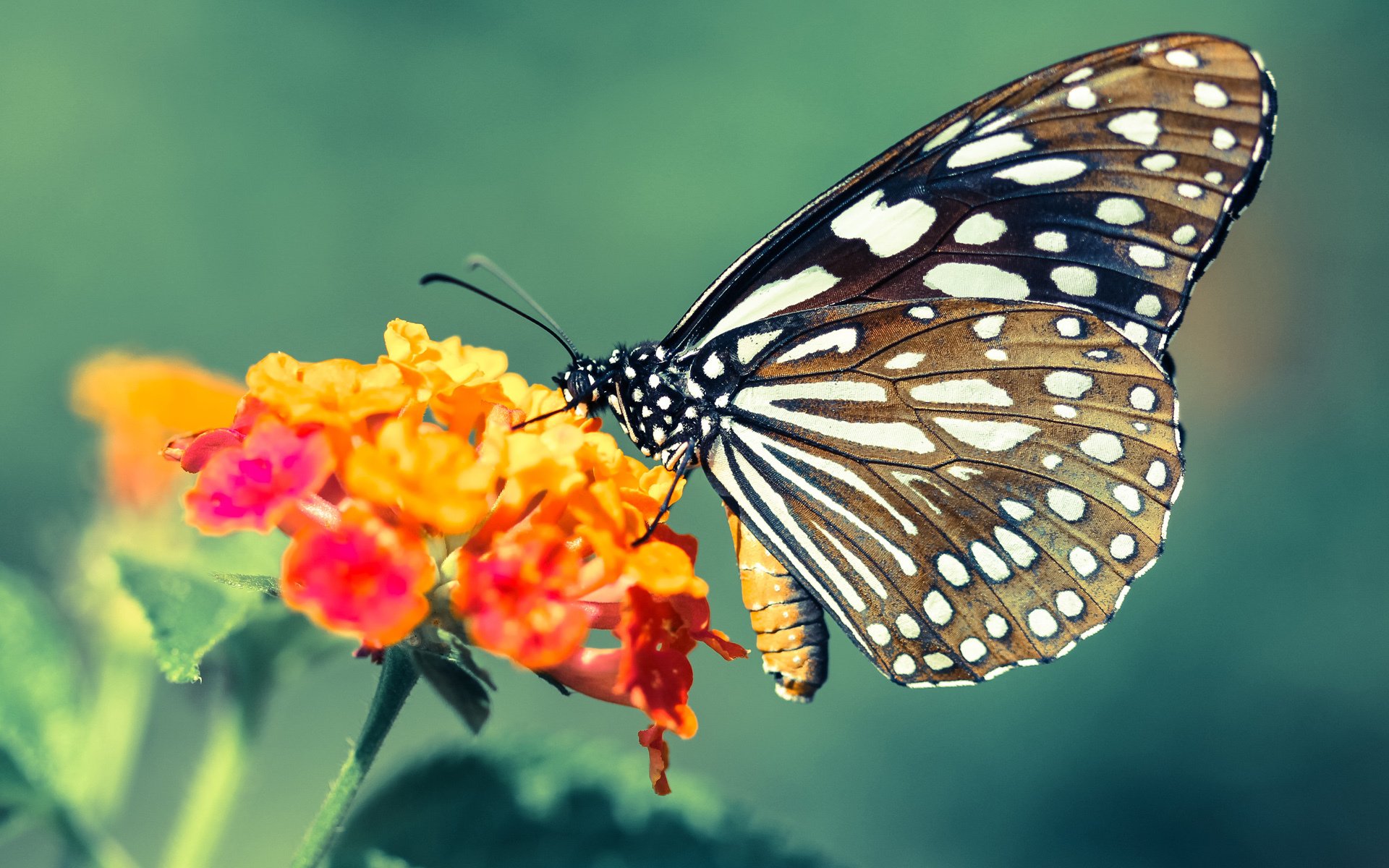 媒体联动提升赛事传播力,媒体联动式报道