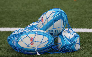 法国橄榄球赛事的票房和赞助收入创历史新高，法国橄榄球国家队