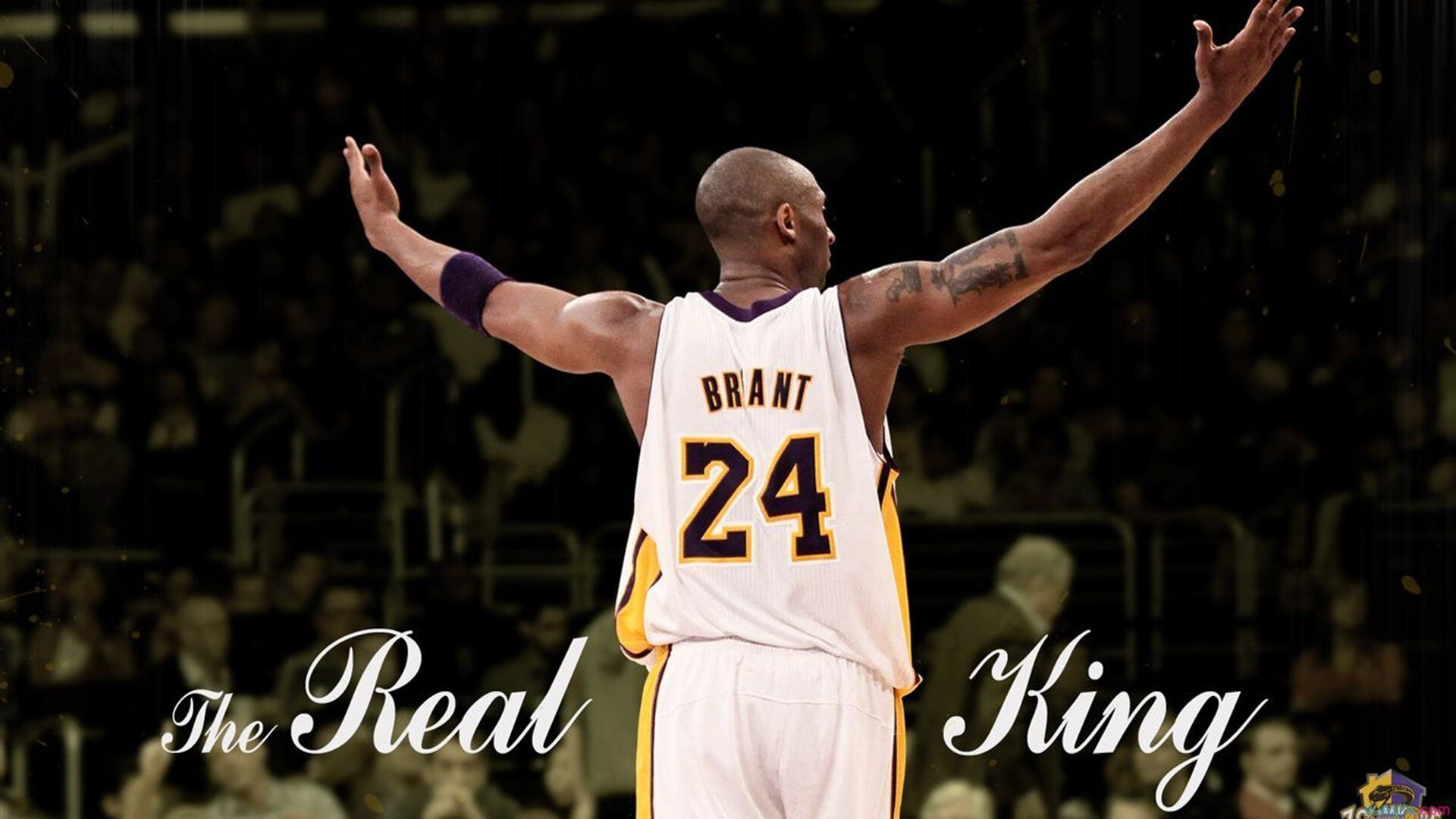 爱游戏电竞官网-2026赛季的核心看点预判，61-62赛季